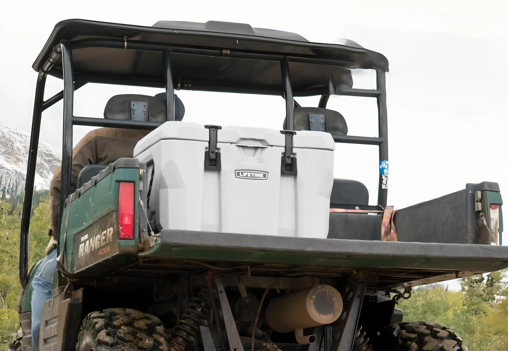 ice box cooler for car