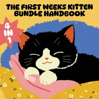 New Kitten’s First Weeks: A Calm Start Guide